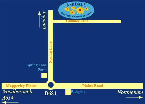Map of directions to Ashdale Nursery Nottingham near Brookfields and Spring Lane Farm